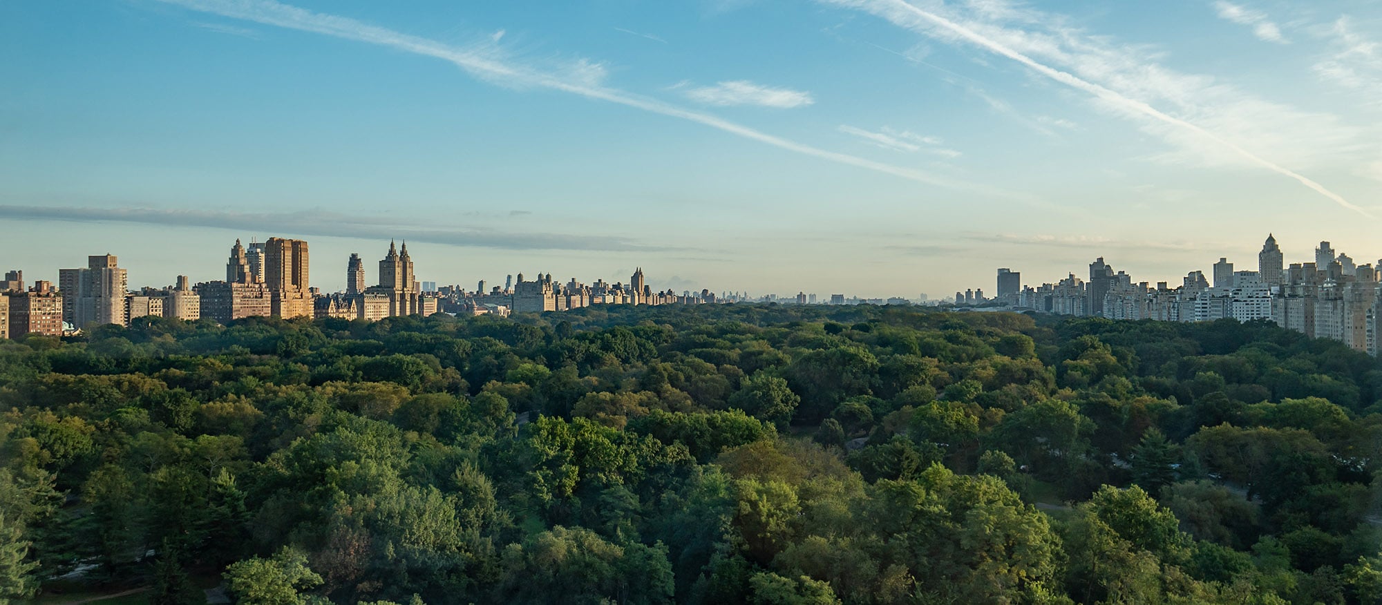 View from The Ritz-Carlton New York, Central Park